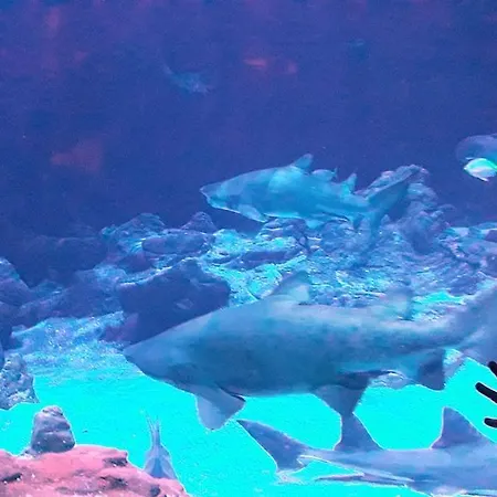L Enclos شقة