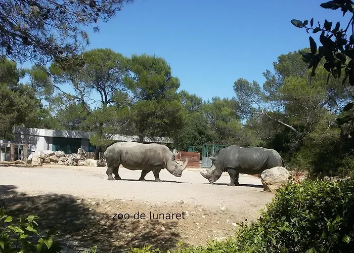 L Enclos Lägenhet Grabels